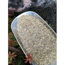 Tarczyca Bajkalska super rozdrobniony korzeń 